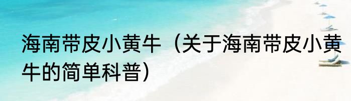 海南带皮小黄牛（关于海南带皮小黄牛的简单科普）