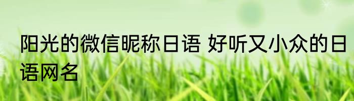阳光的微信昵称日语 好听又小众的日语网名