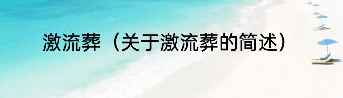 激流葬（关于激流葬的简述）