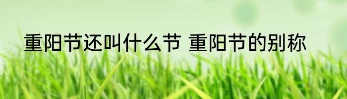 重阳节还叫什么节 重阳节的别称