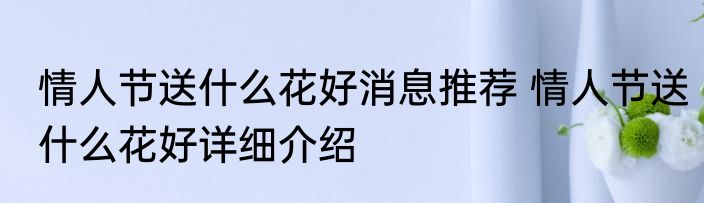 情人节送什么花好消息推荐 情人节送什么花好详细介绍