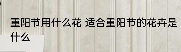 重阳节用什么花 适合重阳节的花卉是什么
