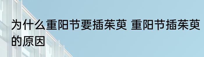 为什么重阳节要插茱萸 重阳节插茱萸的原因