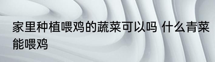 家里种植喂鸡的蔬菜可以吗 什么青菜能喂鸡