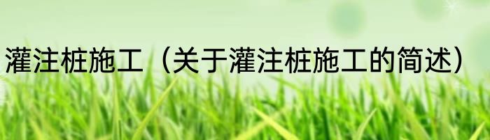灌注桩施工（关于灌注桩施工的简述）