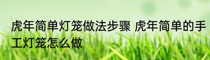 虎年简单灯笼做法步骤 虎年简单的手工灯笼怎么做