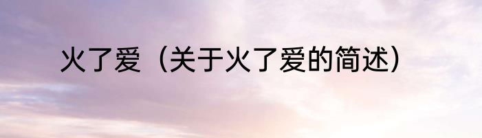 火了爱（关于火了爱的简述）