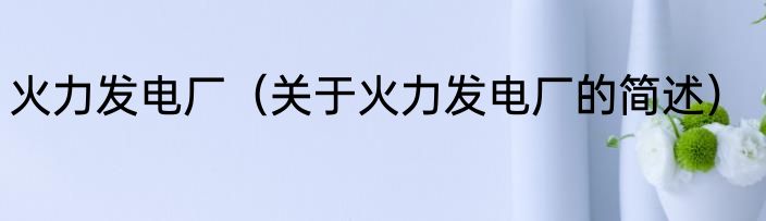 火力发电厂（关于火力发电厂的简述）