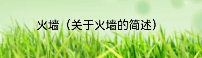 火墙（关于火墙的简述）