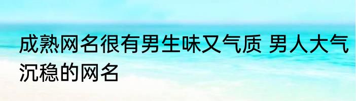 成熟网名很有男生味又气质 男人大气沉稳的网名