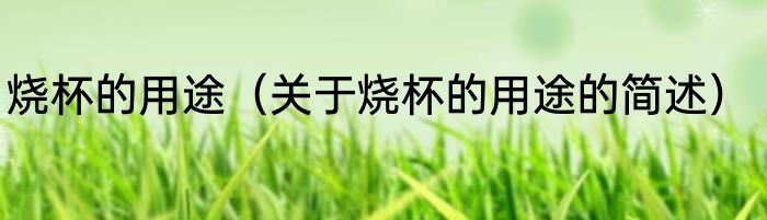 烧杯的用途（关于烧杯的用途的简述）
