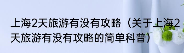 上海2天旅游有没有攻略（关于上海2天旅游有没有攻略的简单科普）