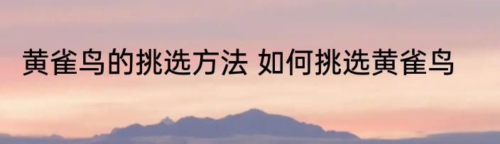 黄雀鸟的挑选方法 如何挑选黄雀鸟