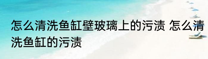 怎么清洗鱼缸壁玻璃上的污渍 怎么清洗鱼缸的污渍