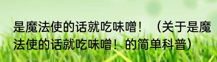 是魔法使的话就吃味噌！（关于是魔法使的话就吃味噌！的简单科普）