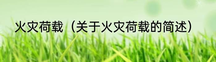 火灾荷载（关于火灾荷载的简述）
