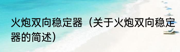 火炮双向稳定器（关于火炮双向稳定器的简述）