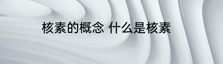 核素的概念 什么是核素