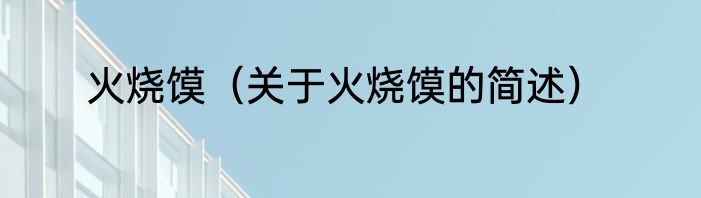 火烧馍（关于火烧馍的简述）