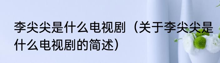 李尖尖是什么电视剧（关于李尖尖是什么电视剧的简述）
