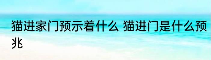 猫进家门预示着什么 猫进门是什么预兆