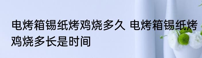 电烤箱锡纸烤鸡烧多久 电烤箱锡纸烤鸡烧多长是时间