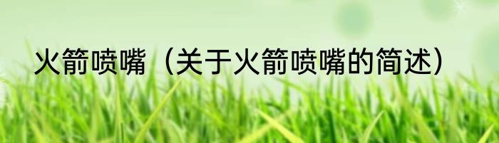 火箭喷嘴（关于火箭喷嘴的简述）