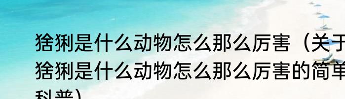 猞猁是什么动物怎么那么厉害（关于猞猁是什么动物怎么那么厉害的简单科普）