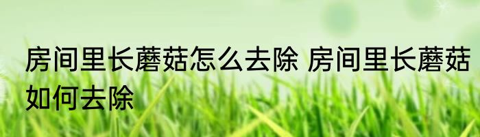 房间里长蘑菇怎么去除 房间里长蘑菇如何去除