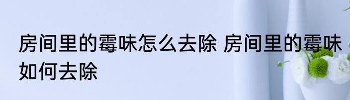 房间里的霉味怎么去除 房间里的霉味如何去除