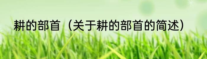 耕的部首（关于耕的部首的简述）