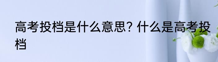高考投档是什么意思? 什么是高考投档