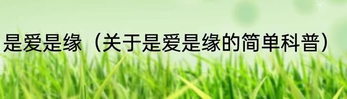 是爱是缘（关于是爱是缘的简单科普）