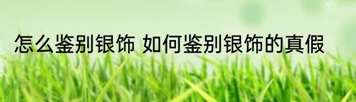 怎么鉴别银饰 如何鉴别银饰的真假