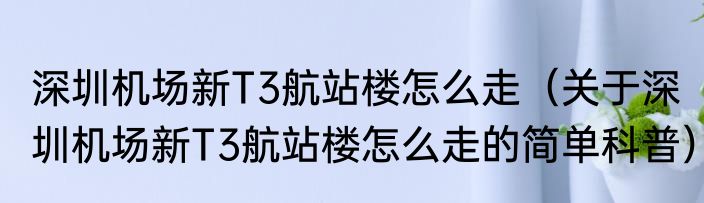 深圳机场新T3航站楼怎么走（关于深圳机场新T3航站楼怎么走的简单科普）