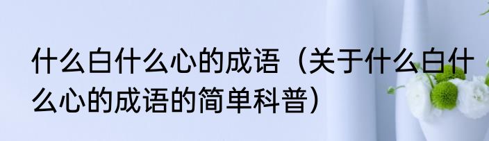 什么白什么心的成语（关于什么白什么心的成语的简单科普）