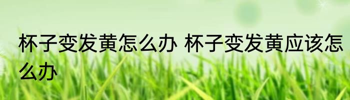 杯子变发黄怎么办 杯子变发黄应该怎么办