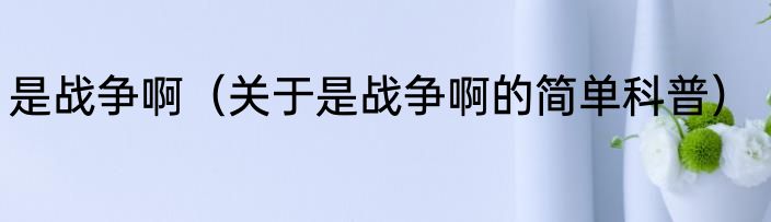 是战争啊（关于是战争啊的简单科普）