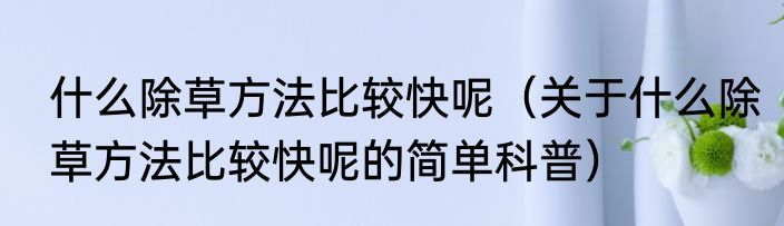 什么除草方法比较快呢（关于什么除草方法比较快呢的简单科普）
