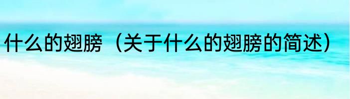 什么的翅膀（关于什么的翅膀的简述）