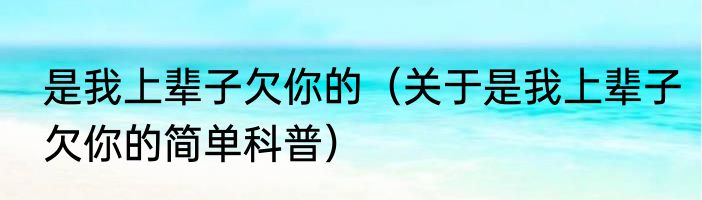 是我上辈子欠你的（关于是我上辈子欠你的简单科普）