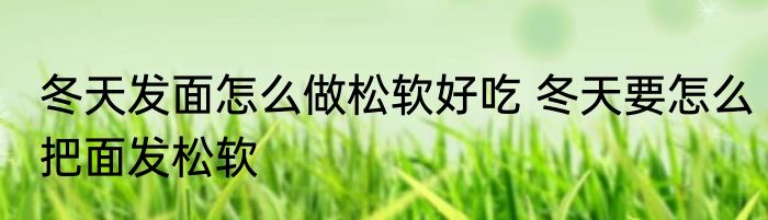 冬天发面怎么做松软好吃 冬天要怎么把面发松软