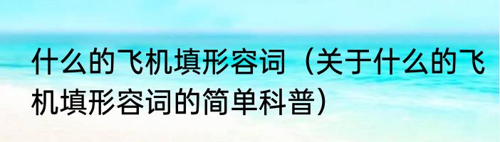 什么的飞机填形容词（关于什么的飞机填形容词的简单科普）