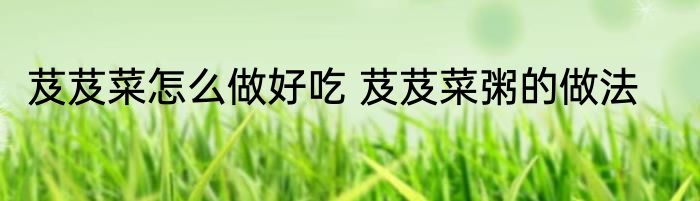 灰海豹（关于灰海豹的简述）