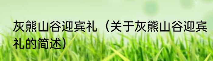 灰熊山谷迎宾礼（关于灰熊山谷迎宾礼的简述）
