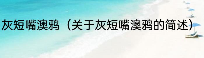 灰短嘴澳鸦（关于灰短嘴澳鸦的简述）