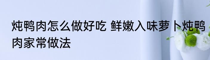 炖鸭肉怎么做好吃 鲜嫩入味萝卜炖鸭肉家常做法