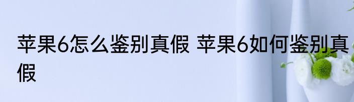 苹果6怎么鉴别真假 苹果6如何鉴别真假