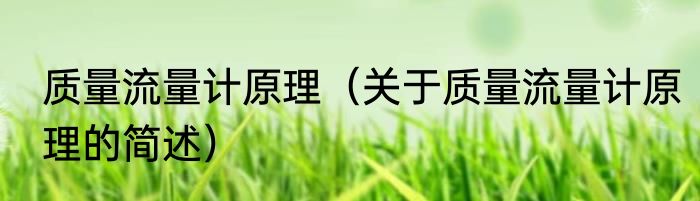 质量流量计原理（关于质量流量计原理的简述）
