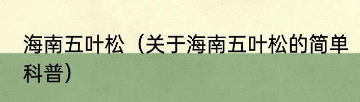 海南五叶松（关于海南五叶松的简单科普）